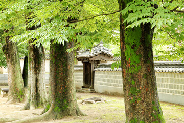 한국 전주 경기전 한옥마을