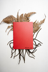 Top view of red envelope and postcard with brown leaves and words Thank You written on it