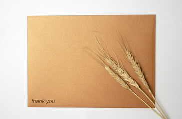 Top view of brown envelope and postcard with brown leaves and words Thank You written on it