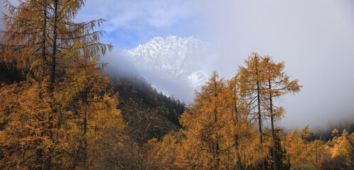 Fototapeta premium Beautiful autumn forest landscape and snow capped mountains