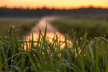 Autumn, foggy sunrise over the canal