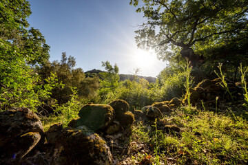 Sierra de la Higuera