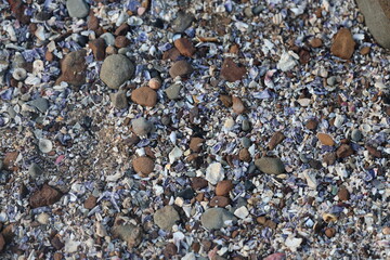 pebbles and shells on the beach