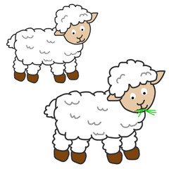 illustration of cartoon sheep