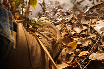Fallen leaves blanket the ground, a single boot rests by the water edge, capturing the essence of autumn charm.