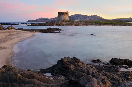 torre pelosa