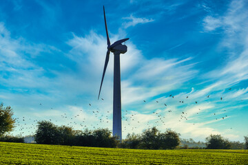 wind turbine in the field with birds