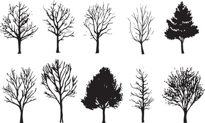 Obraz premium Set Trees. Hand drawn vector illustration 
