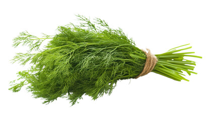 Bunch of fresh Dill greens leaves isolated on a transparent background PNG