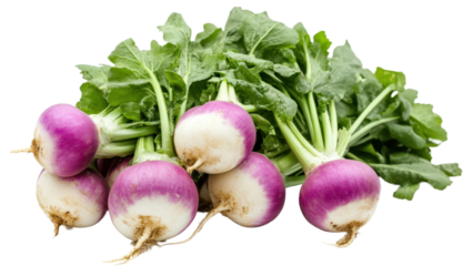 Bunch of fresh turnips isolated on transparent background