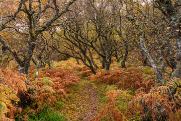 Fototapeta premium Travelling the NC500 route around the north coast of Scotland