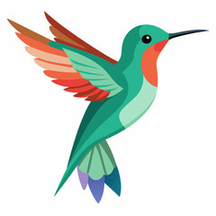 Obraz premium hummingbird and flowers