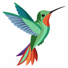 Obraz premium hummingbird and flowers