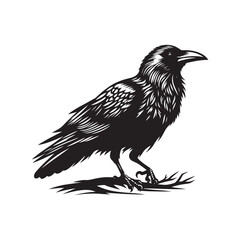 Obraz premium Crow Raven Bird Silhouette Vector Art on White Background.