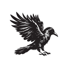 Vector Silhouette of Crow Raven Bird - White Background.
