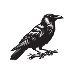 Raven Crow Silhouette Illustration Vector - White Background.