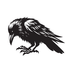Raven Crow Silhouette Illustration Vector - White Background.