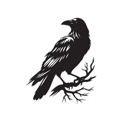 Obraz premium Crow Bird Silhouette Vector on Clean White Background.