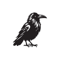 Silhouette Vector of Crow/Raven Bird on White Background.