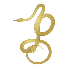 Obraz premium Gold color snake zodiac vector design, for Chinese New Year, eps 1