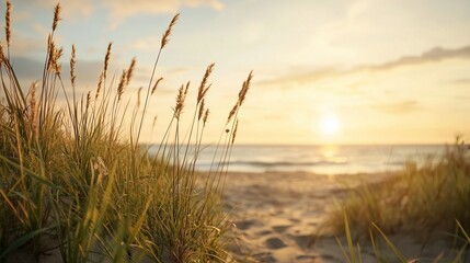 Serene Beach Sunrise with Grass and Gentle Waves