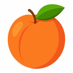 illustration of an orange fruit