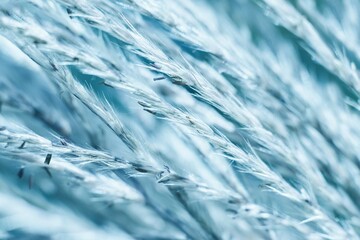 Abstract blue background. Organic  texture of grass spikes.