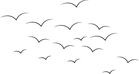 Birds fly in the sky. A flock of birds flying on a white background