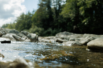 river and mountains in the forest close-up. Beautiful natural background with bokeh.