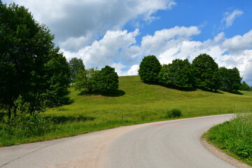 View of a winding path or road made out of asphalt combined with dirt and gravel located next to a tall and steep hill covered with lush trees, grass, and shrubs seen on a cloudy summer day in Poland