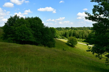 A view of a lush hill covered with trees, grass, and shrubs used by farmers to keep the livestock...