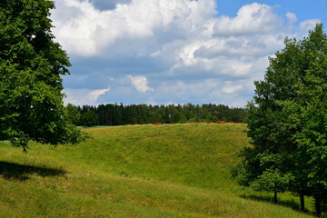 A view of a lush hill covered with trees, grass, and shrubs used by farmers to keep the livestock on, especially cows and horses, seen on a cloudy summer day before a thunderstorm