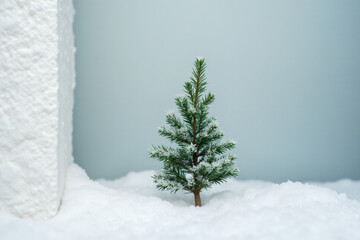 Fototapeta premium small christmas tree branch placed snowy white surface corner nearby outside today