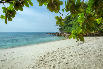 Turtle beach, Perhentian island, Malaysia