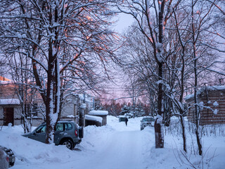 landscape in winter at dawn