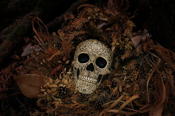 Decorative human skull in fallen autumn leaves, dark natural mystery background. magic, esoteric...