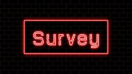 Survey のネオン文字