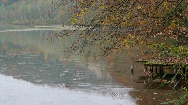 Herbststimmung an der Lechstaustufe