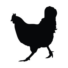Silhouette of a hen on a white background