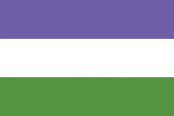 Genderqueer flag