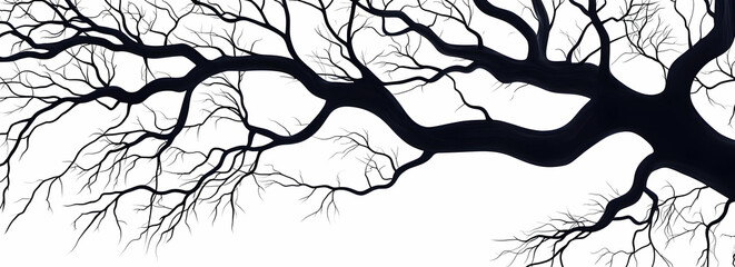 A stylized black tree branch silhouette against a white background. Black and white background images -