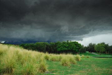Tarde de lluvia