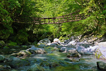 奥祖谷二重かずら橋と祖谷渓の清流　徳島県