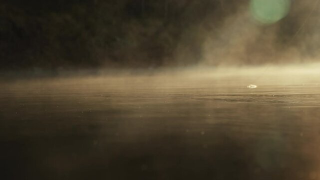 Young fly fisherman casting on a foggy river at sunrise