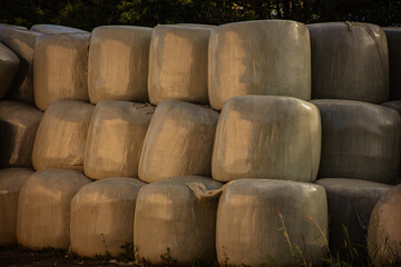 Bales of hay wrapped in plastic sit on a farm, showcasing modern agricultural practices. 