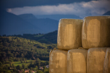Bales of hay wrapped in plastic sit on a farm, showcasing modern agricultural practices. 