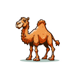 Cartoon style camel isolated vector illustration