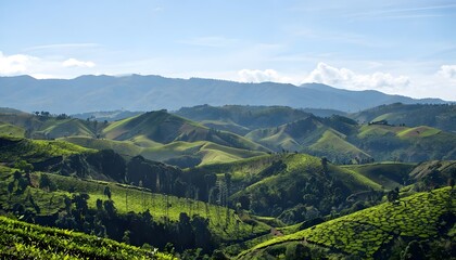 Rolling Hills of Rwanda