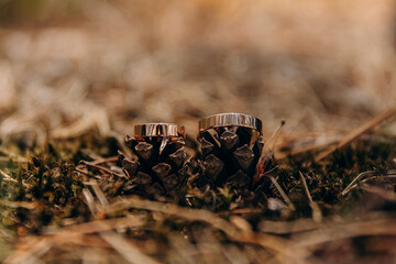 Close-up photo of jewelry wedding rings in the forest against the background of yellow leafy ground cones and under the sun