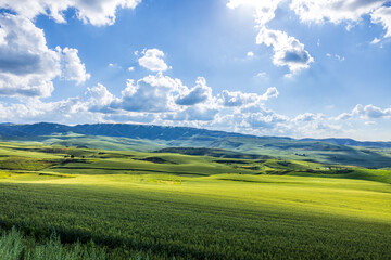 Green wheat fields natural landscape in summer. Farmland scenery on the mountain in Xinjiang, China. © ABCDstock
